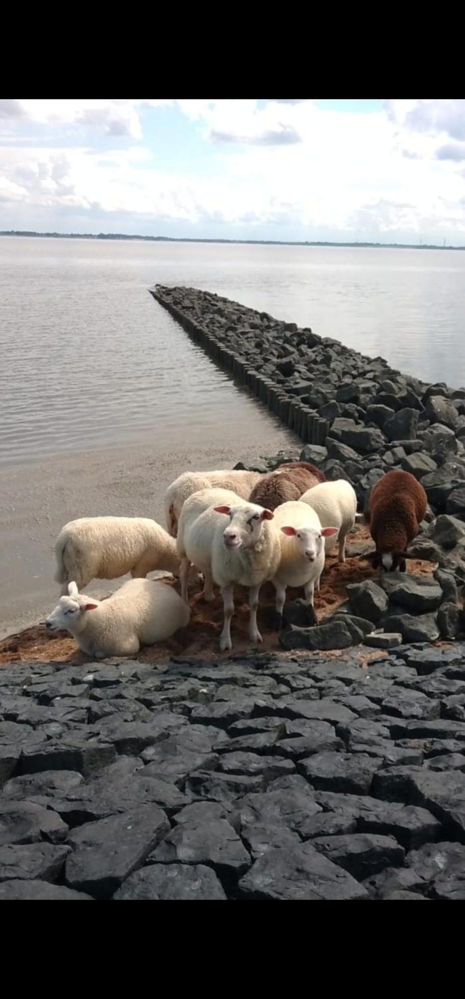 Am Alten Siel Wilhelmshaven Zewnętrze zdjęcie